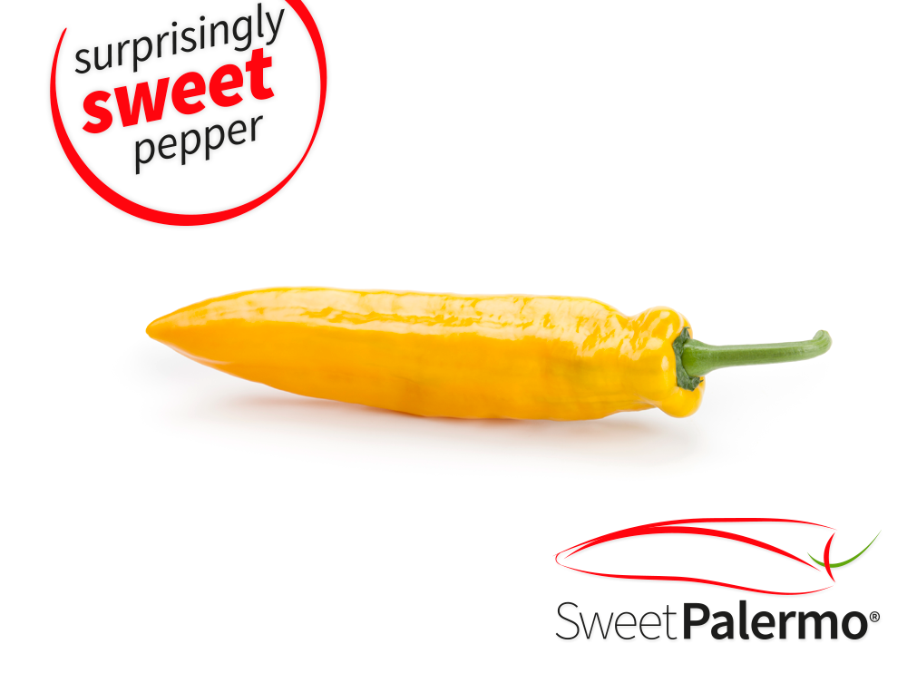 A new star is born! The Yellow Sweet Palermo is as sweet, versatile and convenient as you expect from Sweet Palermo. Interested? Stay tuned!