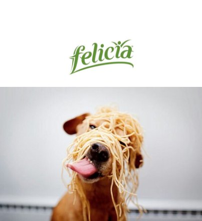 FeliciaPasta's tweet photo. It's time for this little guy here to switch to Felicia Bio Gluten Free pasta. #Felicia
#FeliciaUAE
#GlutenFreePasta
#GlutenFreeUAE https://t.co/jn0Y7GKoUJ
