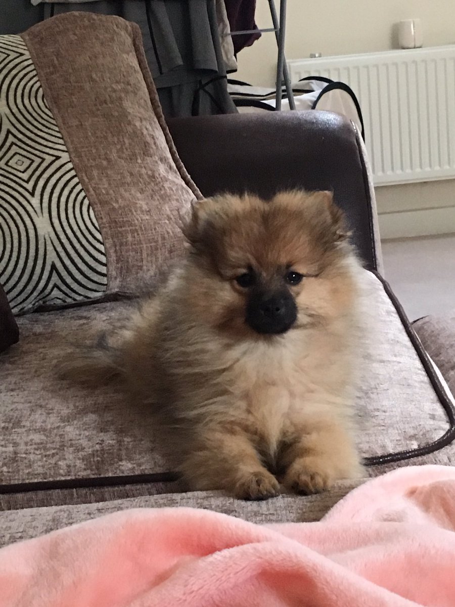 libbymurphy_x's tweet image. Little Bear 🐻 xx