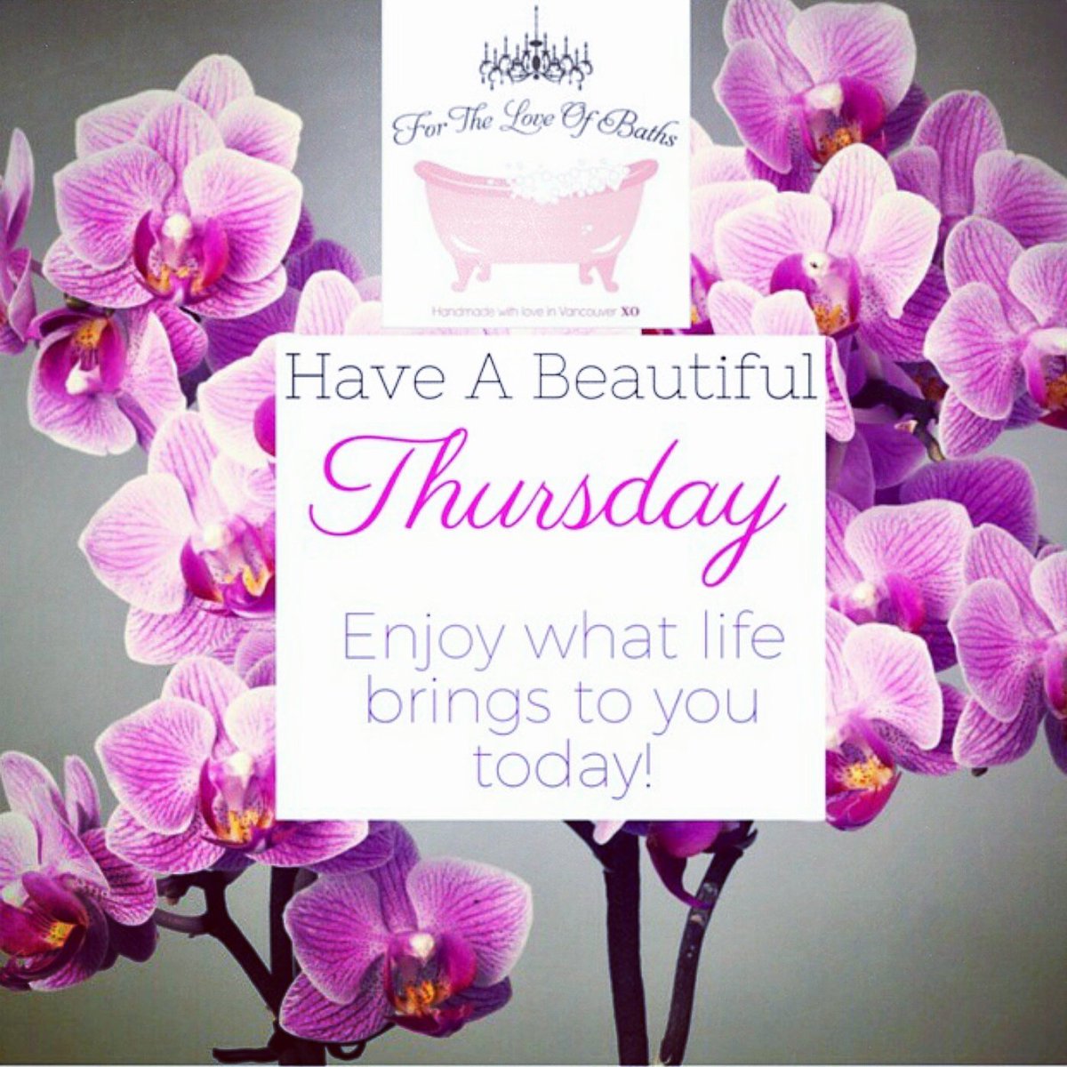 For the Love ofBaths tweet media