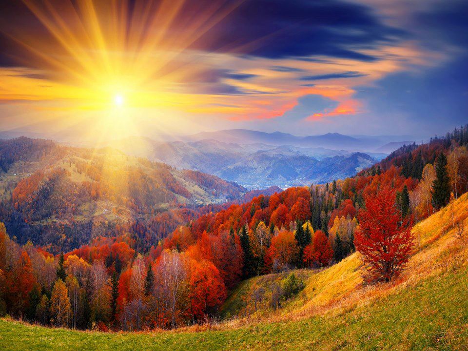_nandaacosta_'s tweet photo. 🍁☀🍁☀ https://t.co/ubMwNSuAYb