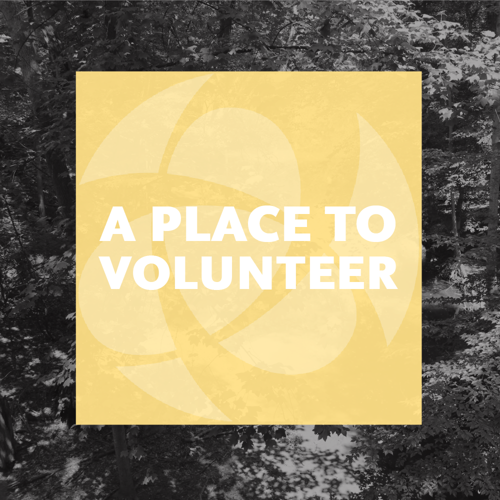 VetArtsConnect's tweet photo. Want to offer a helping hand? We're always looking for volunteers. https://t.co/7XmhTRX5jB https://t.co/Hc89dpe0lm