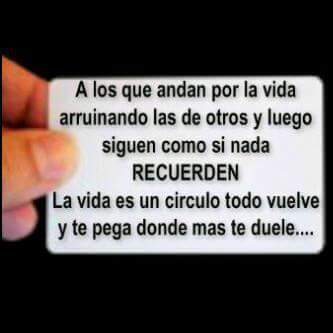 Gabriel Bracho Bosch tweet media