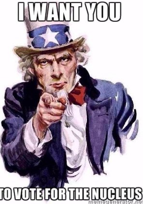 _theRealNucleus's tweet photo. #LNCellection2 It's the obvious choice! Also, Vote @sasychloroplasy for VP! https://t.co/Kjxi2Z9fIG