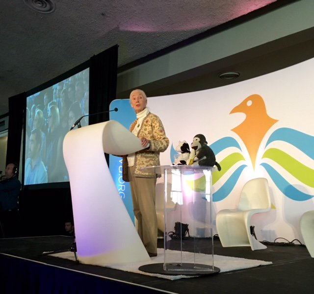 PeaceMediaCo_Op's tweet photo. This morning in #Montreal, a passionate speech by @JaneGoodallCAN on protecting animals to 500 people https://t.co/JTyDSEOTKl #standwithjane https://t.co/qntOvk3zuQ