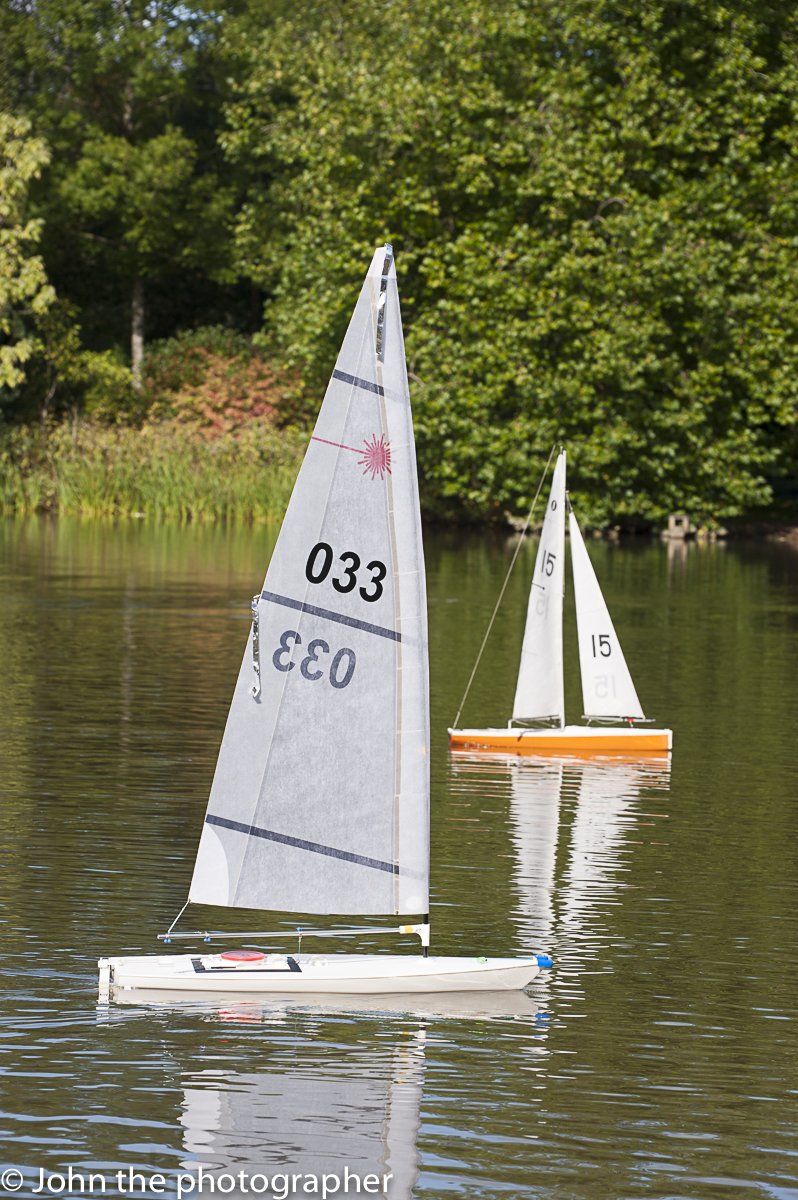 Bodenham Arboretum tweet media