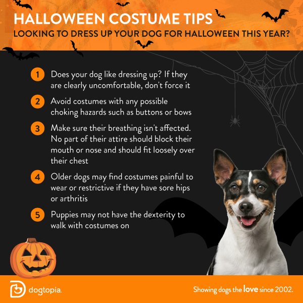 dogtopia's tweet photo. Before dressing up your pup for #Halloween, check out these dog costume tips. #DogtopiaBooCrew https://t.co/lGIzX6W6dR