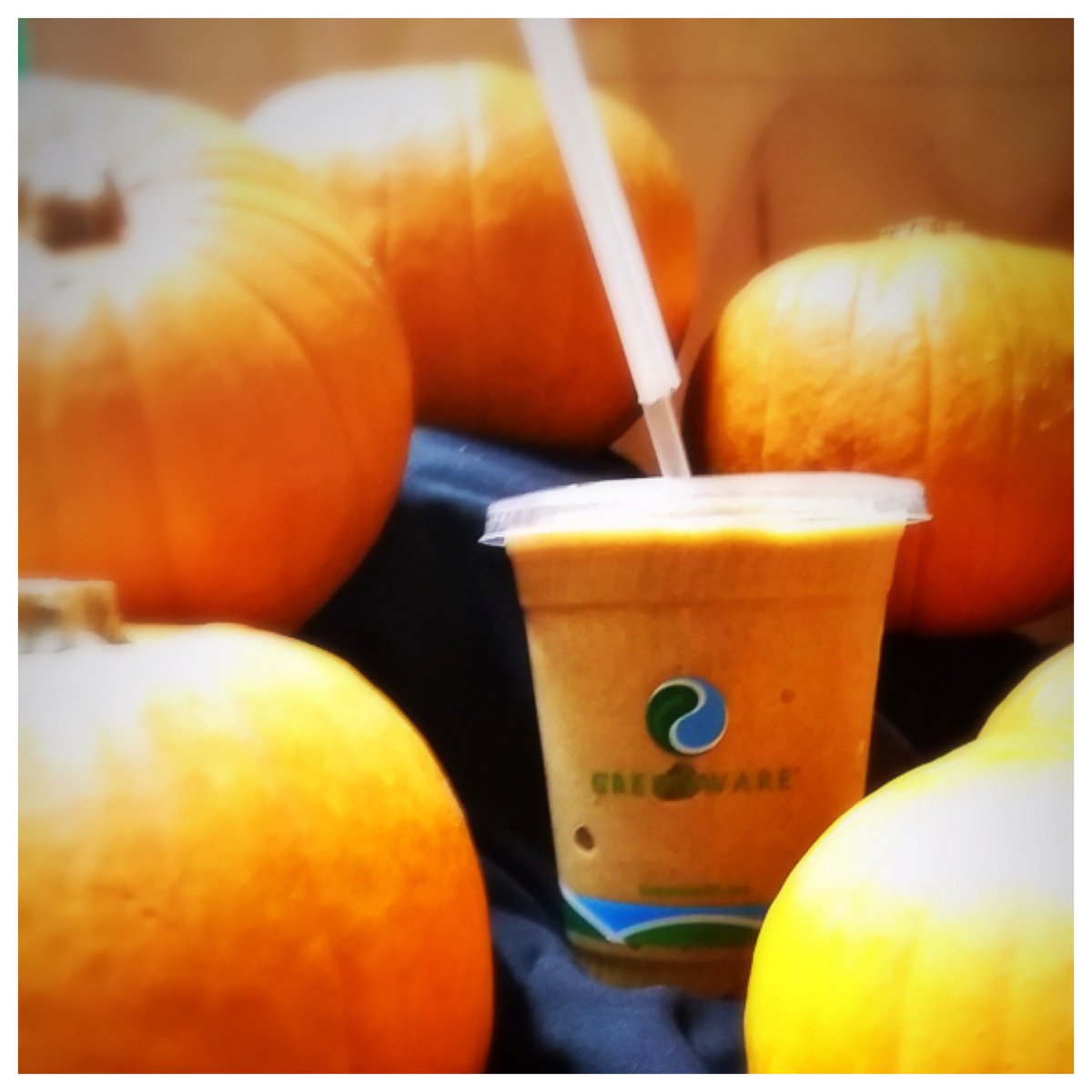 Zerbos's tweet photo. Pumpkin Spice Smoothies! Available Now at the Health Bar! #Pumpkinspice #healthy #zerbos #Halloween #pumpkin #michigan #livonia https://t.co/njAT2FK22i