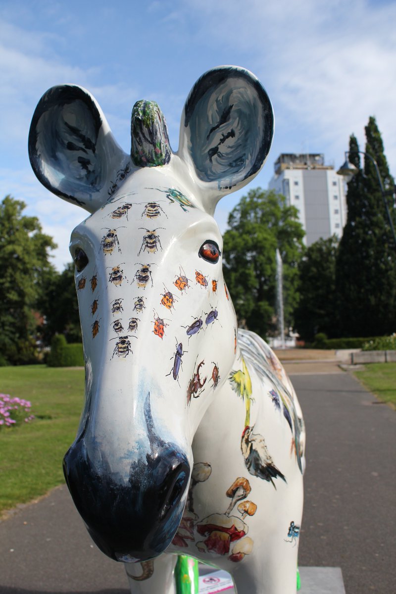 sotonbiosci's tweet photo. Win Zebraversity artwork! An update from the #Zebraversity crowdfunding campaign. https://t.co/href2NEqxX https://t.co/fBWHX2afWx