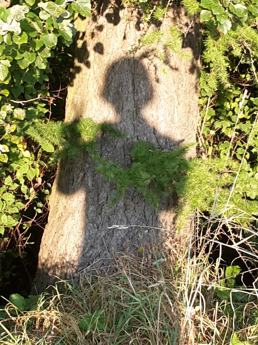 PicThisNature's tweet photo. #Hi #PicThisNature https://t.co/8ZMEkAo5P3