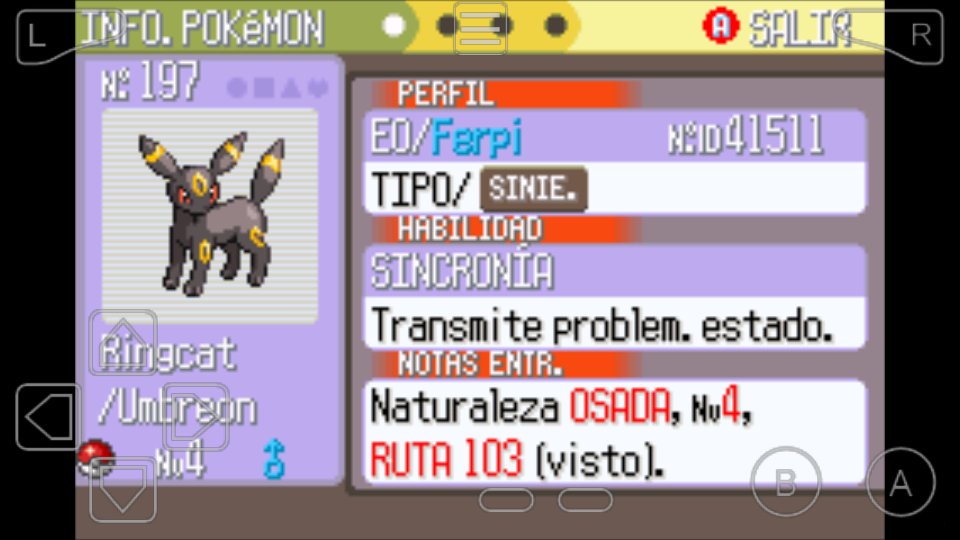 SirFerpi's tweet photo. Hola nuevo compañero #Ringcat #LoReventamos https://t.co/WCeZ3iPopy