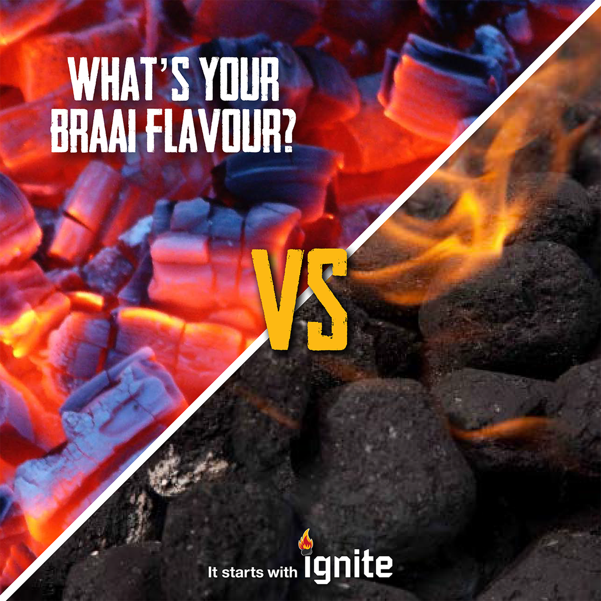 Ignite Products tweet media