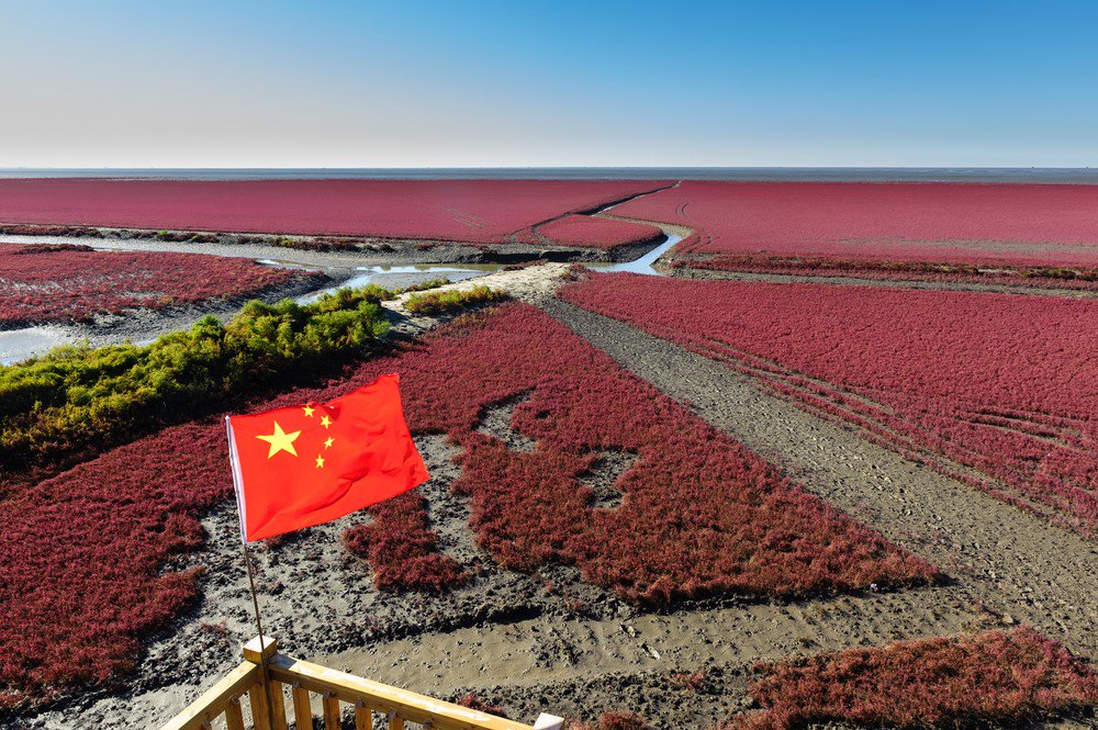 En #Chine, cette #plage passe régulièrement du vert au rouge. Et l'homme n'y est pour rien ! okvoyage.com/2305-plage-rou… #Panjin 🇨🇳