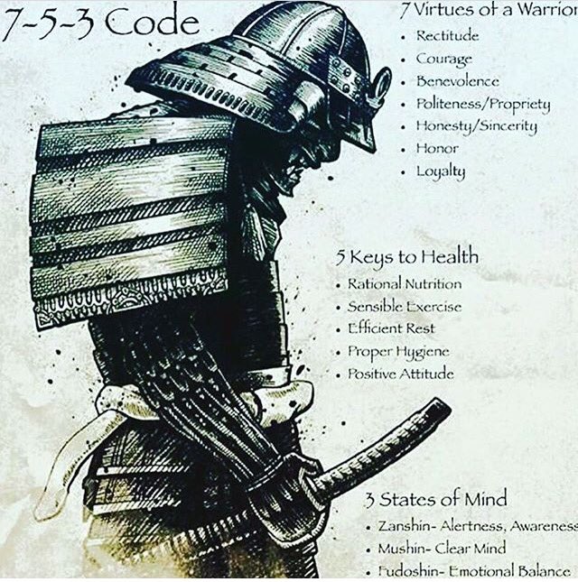 th3cyF0x's tweet photo. #7virtuesofawarrior #5keystohealth #3states of mind https://t.co/A0mxnztlKW