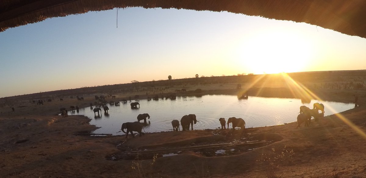 EnricotheDeer's tweet photo. My new Zimbabwe home! Thx Disney &amp; @feliciaday this show is going to be awesome! Even @LadywtheLayers will like it!! https://t.co/GijMPekhIB