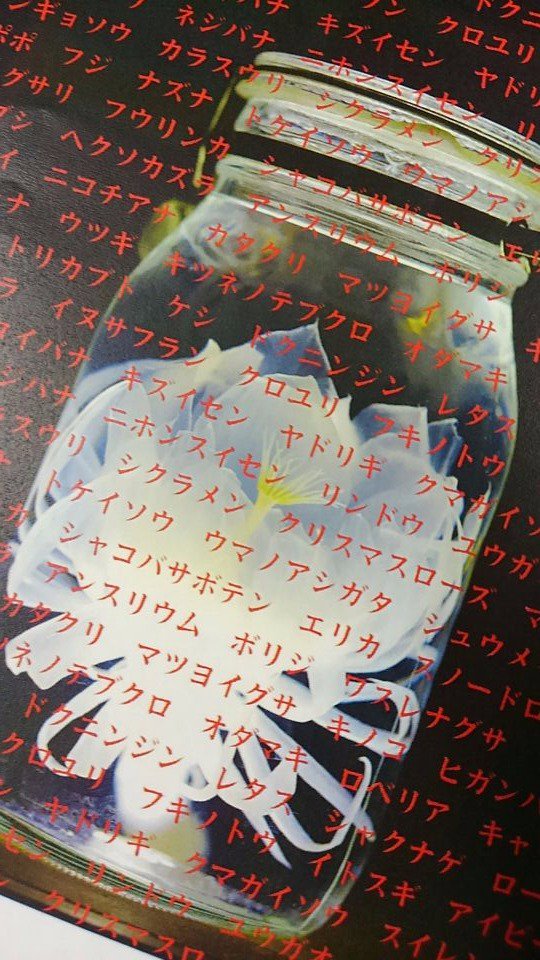 新紀元社 月下美人の花言葉 危険な快楽 108の怖い花言葉 を 妖しくも美麗な写真を逸話と共に収録した あなたの知らない美しく怖い花言葉 が10月末に発売決定 美しい花が持つ 怖い花言葉の数々にご注目ください 現在鋭意製作中ですので 発売日が