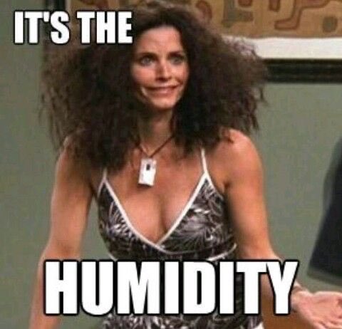 Karen_Hebert's tweet photo. Great hair straightening day! Step outside and BAM! #humiditymuch #frayedQtip https://t.co/8j3SGel6XC
