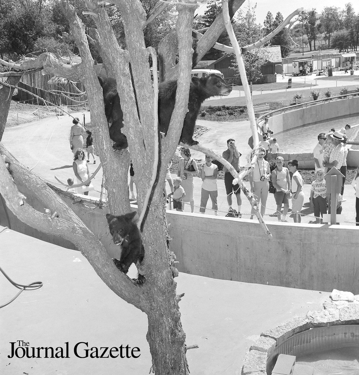 JGFeatures's tweet image. As @fwkidszoo nears the end its season, we #TBT to July 3, 1965, when 6,000 folks visited on its 1st opening day. #AllenCo200 #Indiana200