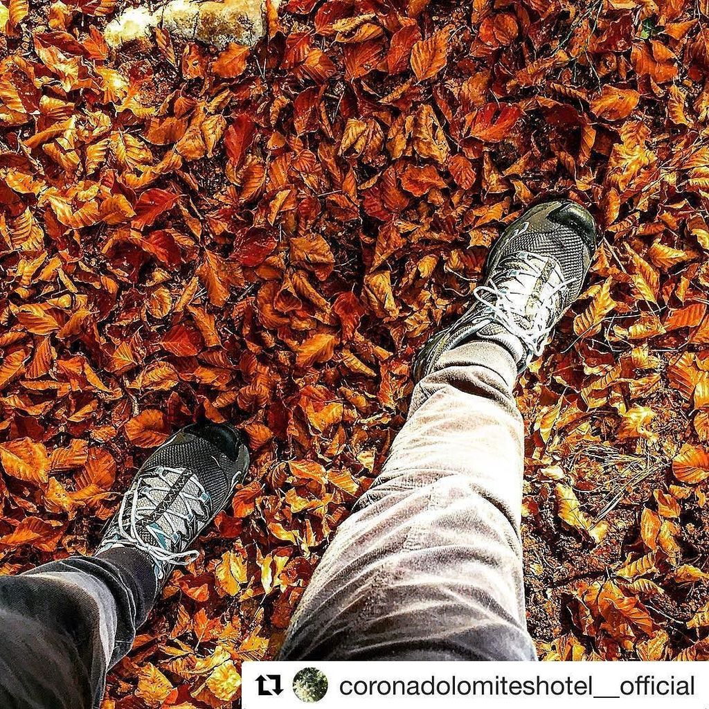 "C’è una luce diversa nell’autunno.  C’è una velleità di tregua, un bisogno di lasciare le folle estive e avvolgers…