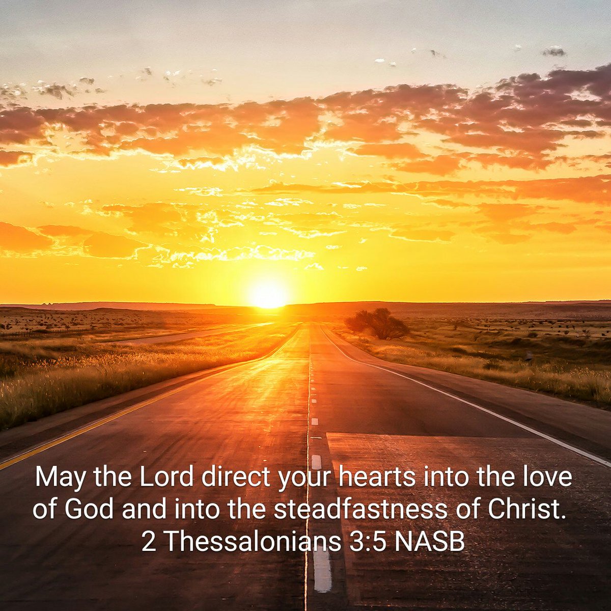 Trans4mingLife's tweet image. May the Lord direct your hearts into the love of God and into the steadfastness of Christ.
2 Thessalonian…
bible.com/100/2th.3.5.NA…