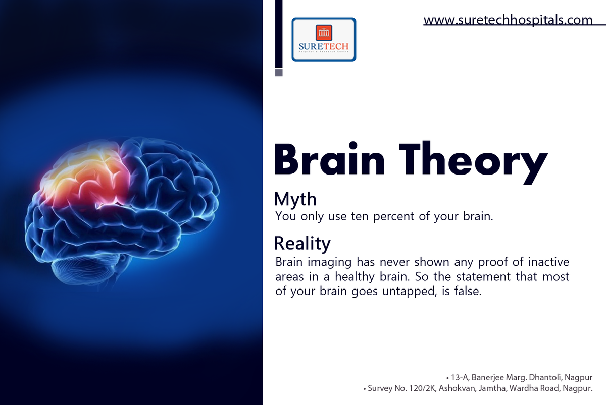 Tweet_Suretech's tweet photo. Have you ever read theories which say that you only use ten percent of your brain? It’s false. #Suretech https://t.co/tojt43W4FN