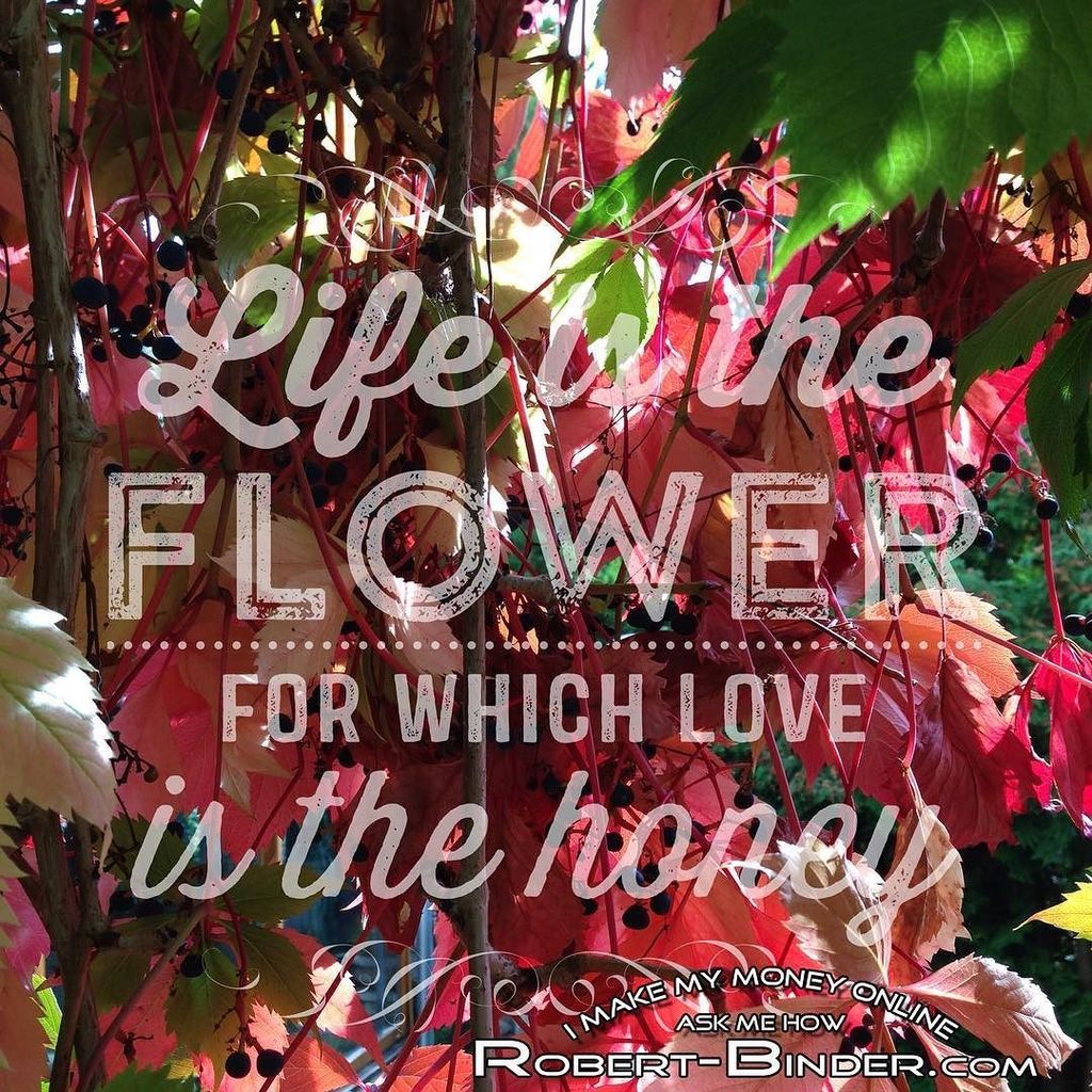 RobertBinder8's tweet image. Thank you for the beautiful life💘👍🏼😘💕🙏🏽 #mindbodysoul #practicalmotivation #acourseinmirac… ift.tt/2dUMHBn