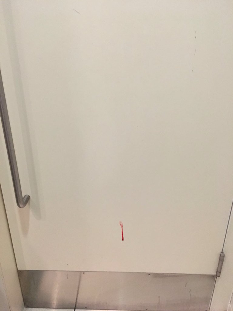 Shitter (@picfromshitter) on Twitter photo 