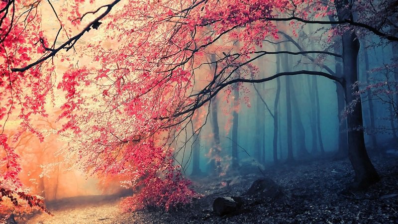SummitUPress's tweet photo. Your pain is the breaking of the shell that encloses your understanding
#KahlilGibran
https://t.co/aoUuSKe5vt
#HeartPerspective #HigherLove https://t.co/p1gnfneGU1