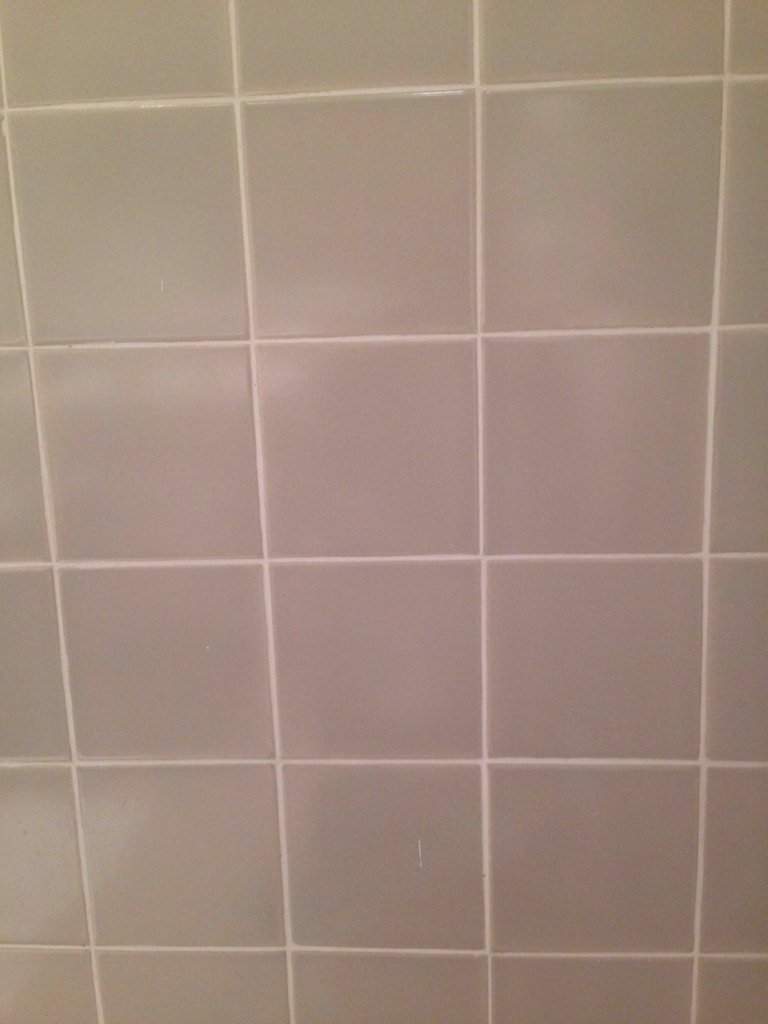 Shitter (@picfromshitter) on Twitter photo 