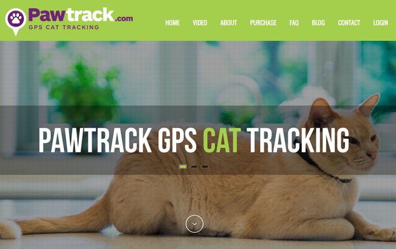 The_wpexperts's tweet image. #Thewpexperts  delivery  its project-Pawtrack, #GPS #cat-tracking devices for cat lovers.
thewpexperts.co.uk/ourportfolio/p…
