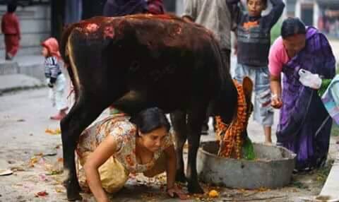 sadafnawaid's tweet photo. افغانیوں طریقہ سیکھ لو.. یہ وقت انے والا ہے #افغانستان پہ..
#LiesOfIndiaExposed https://t.co/najJvFIL7p