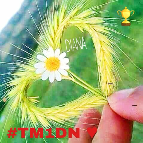 koji2530112's tweet photo. #TM1DN 
#MAYAR 
#MGWV 
@Rey4United 
@alaura2015 
@Arab_Arabism 
@Quinnqueens 
@vuhtan_ 
@ReRioPop 
@666_alhlwan 
@MGWV1OO https://t.co/HbX6TIEQki