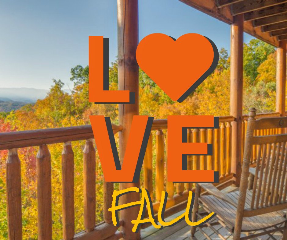 Perfect Places tweet media