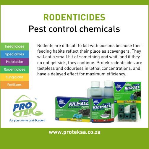 Garden World tweet media