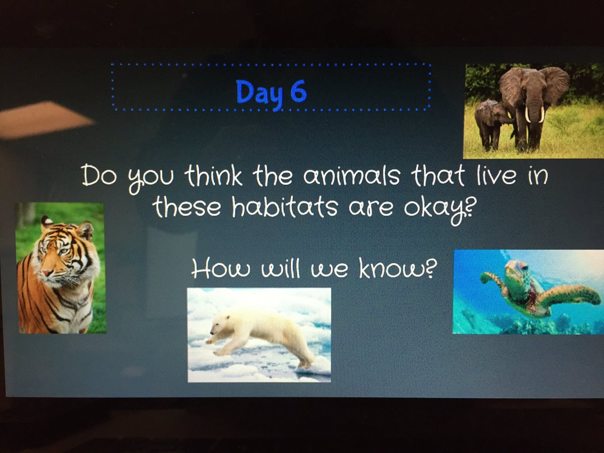chfreeland's tweet photo. Research in action! We need to find out what they need to survive before we know if they are ok.#cherokeeinspires #cherokeescience #inquiry https://t.co/wPJbaqj9DU