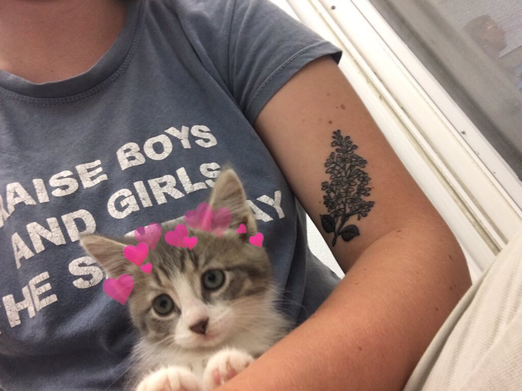 catswithearts's tweet photo. https://t.co/5FeMX1ueuu