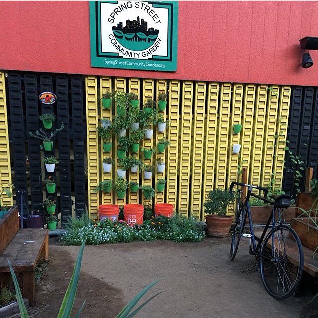 dtlafwd's tweet image. @SpringStCG 🌳 helps #grow #DTLAFWD in partnership with @josehuizar🍓 | 📷 by @sidewalksinla #downtownla #dtla