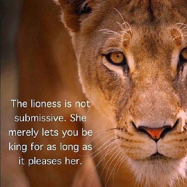 musclegoddess tweet media