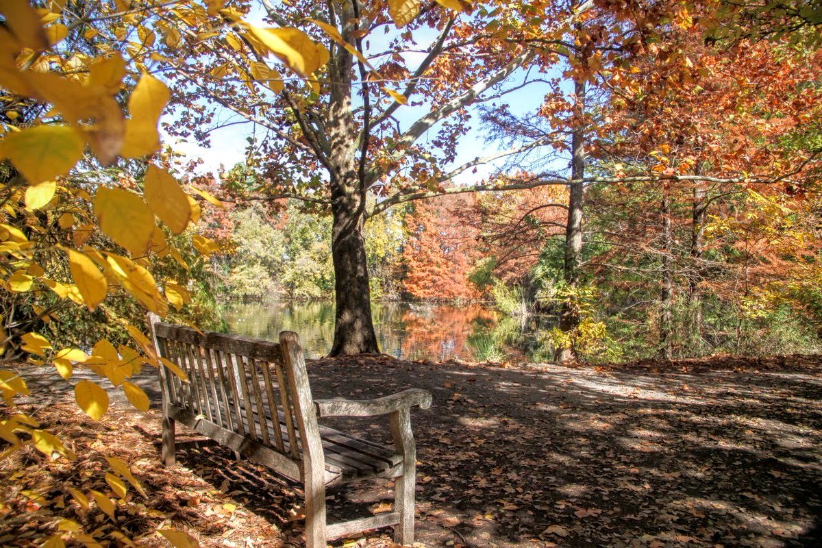 “I’m so glad I live in a world where there are Octobers.” – L.M. Montgomery, Anne of Green Gables