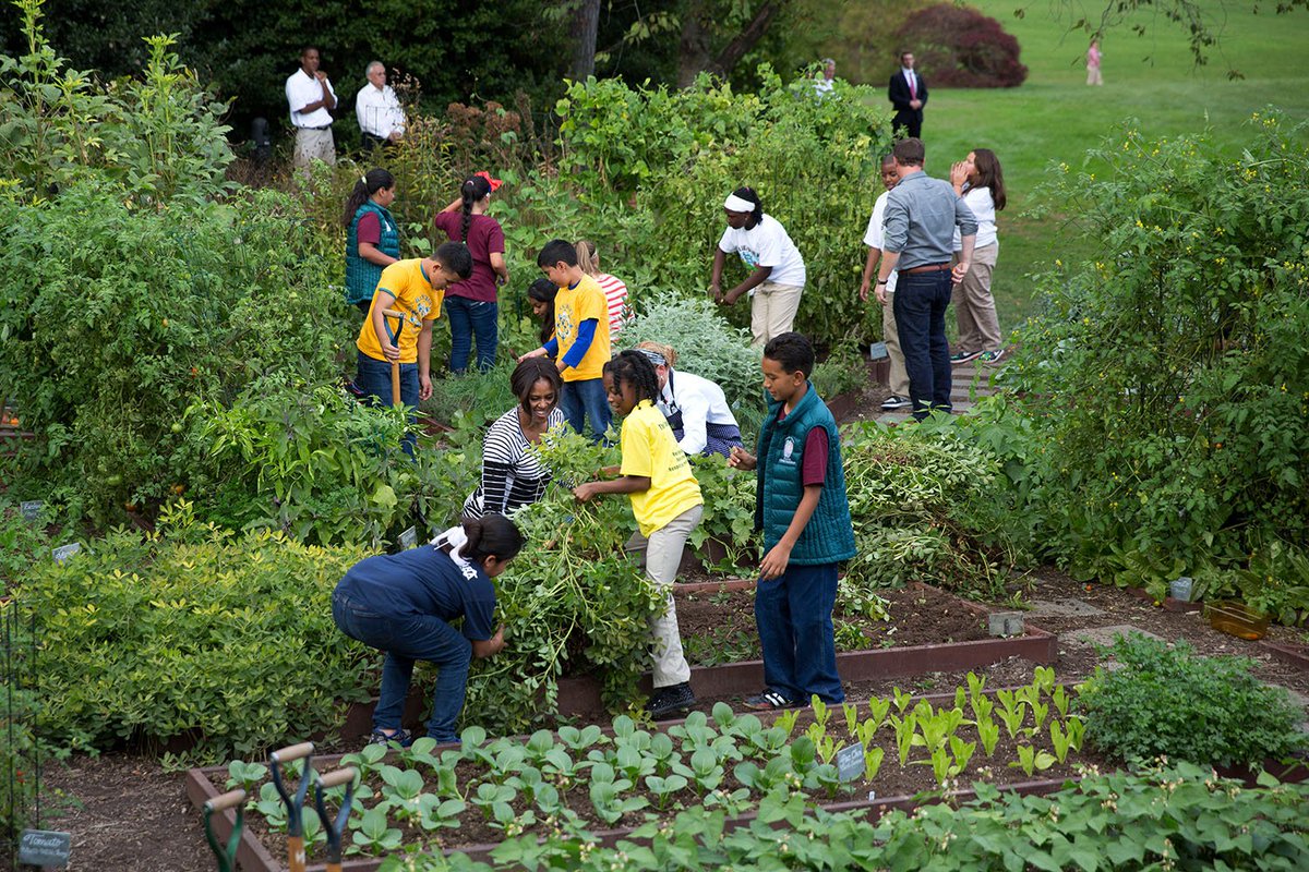 Watch live: <a href="/FLOTUS/">First Lady Melania Trump</a> welcomes students, along with some special guests, for her final harvest of the Kitchen Garden: go.wh.gov/vJadaZ