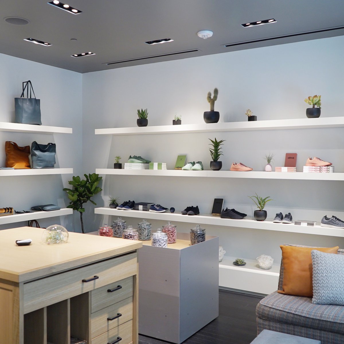 allbirds pop up store