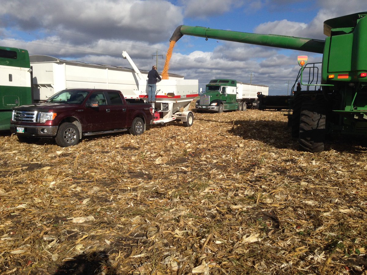 Cameron Hildebrand tweet media