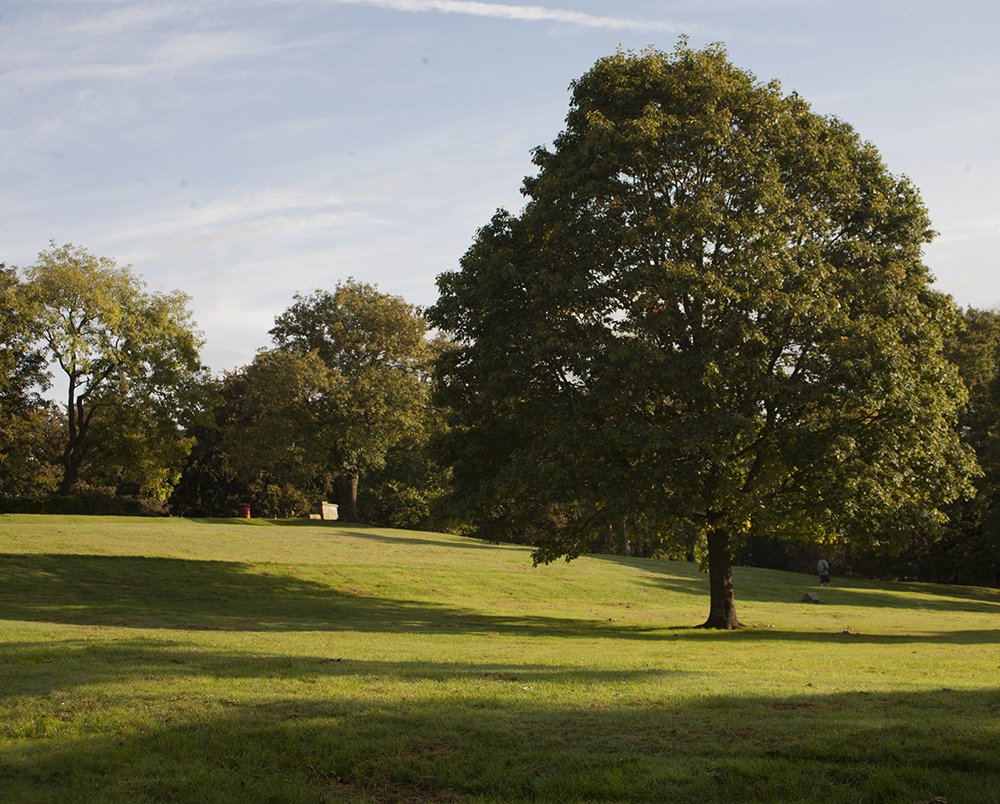 ClaireNeill7's tweet photo. Landscape a  few from Queens park Bolton  @markadamsimages # AAD5000 https://t.co/zcidTwH7NX