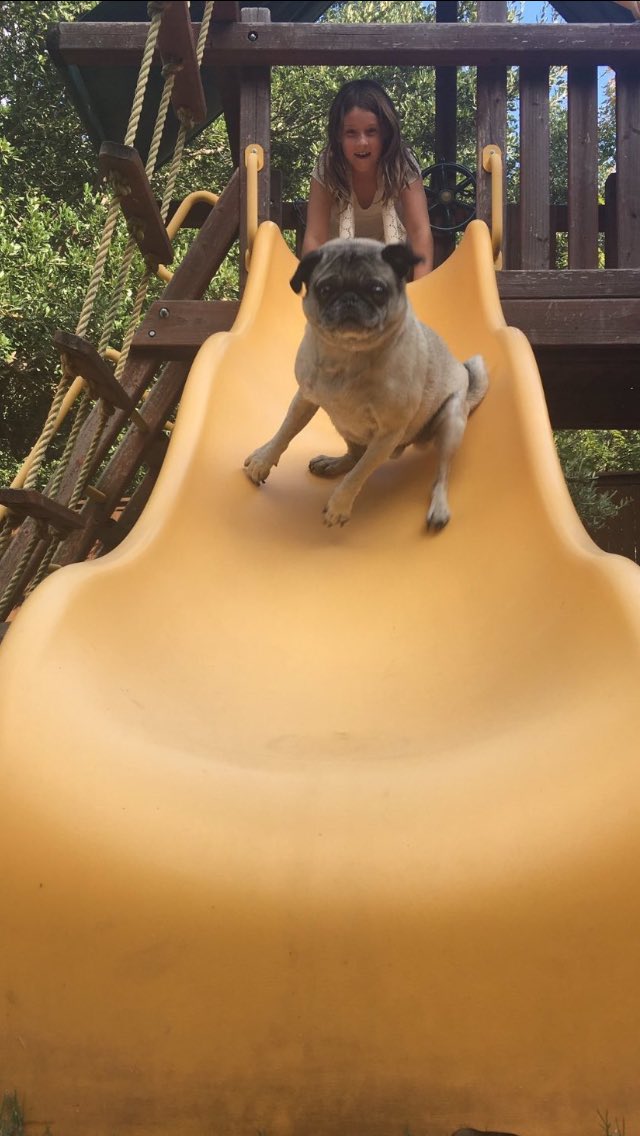 BucketHeadDyn's tweet image. THIS IS THE BEST THING I'VE SEEN TODAY😂😂😂