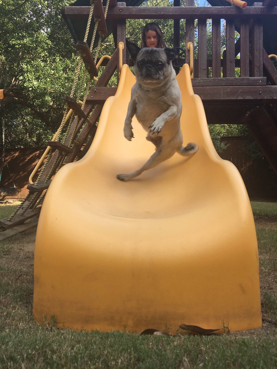 BucketHeadDyn's tweet image. THIS IS THE BEST THING I'VE SEEN TODAY😂😂😂