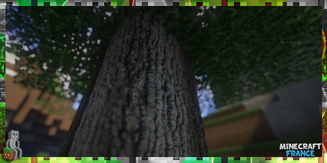 minecraft_fra's tweet photo. Je pense que rendre Minecraft plus réaliste que ça, ça va être difficile ! Découvrez Shader Support ! https://t.co/1SAObDXwAp #minecrafthd https://t.co/HvQUs0c8wx