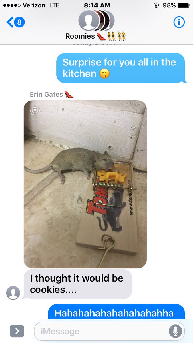 syddick17's tweet photo. Might be the worst roommate in the world... https://t.co/ierSDbYEP6