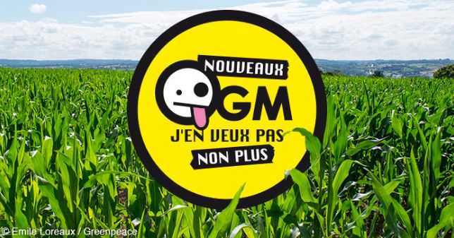 greenpeacefr's tweet image. Avec six autres organisations, nous saisissons le Défenseur des droits sur la question des nouveaux #OGM francetvinfo.fr/economie/emplo…