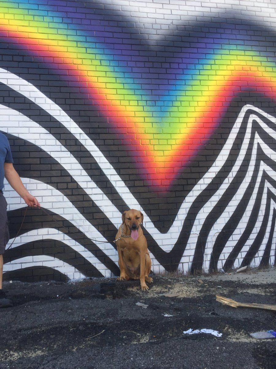PaigeStabler's tweet photo. my dad wanted me to take pictures of my dog next to the big murals while we were on a walk downtown today https://t.co/8Ep2LWueQf