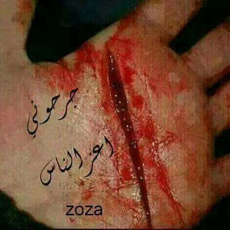 SayedFathe1's tweet image. 